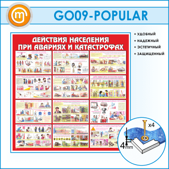        (GO-09-POPULAR)